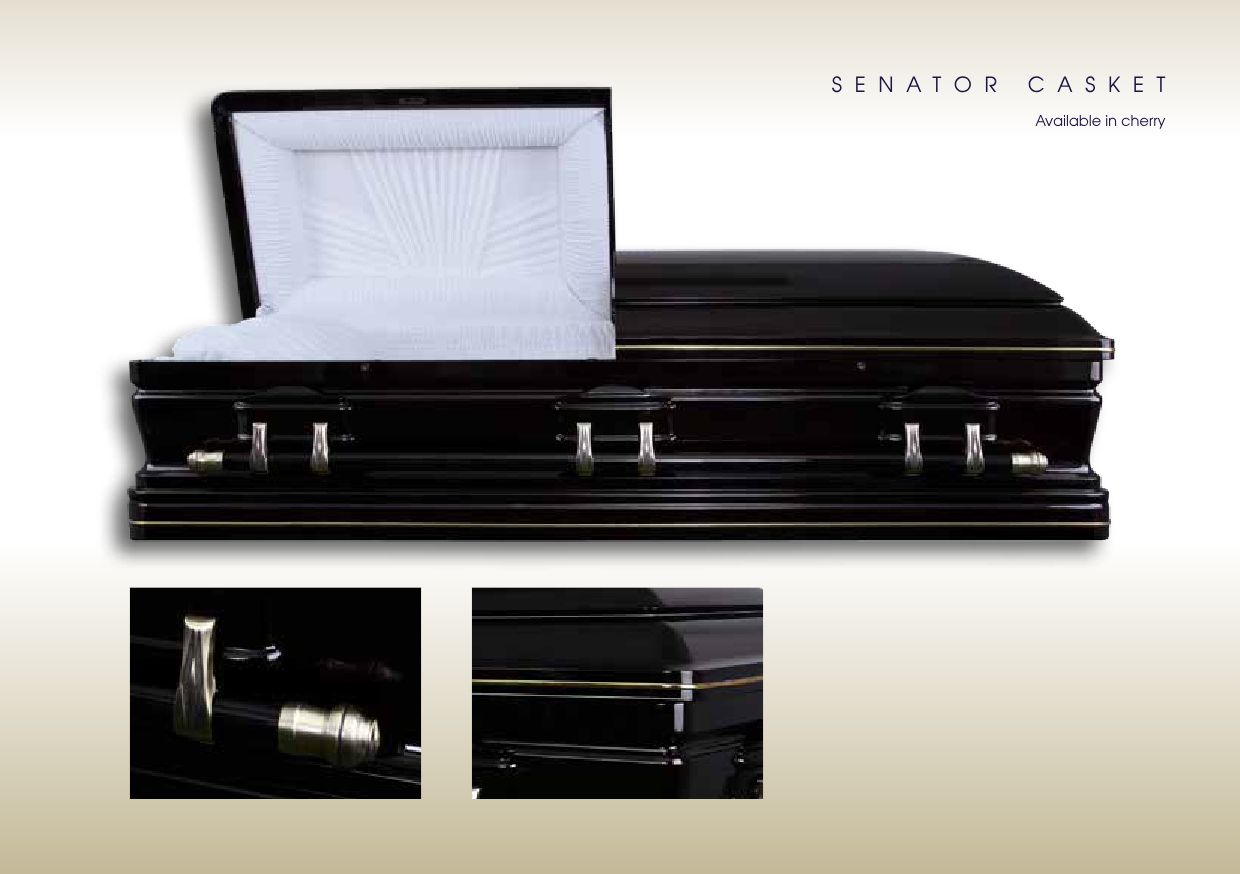 SAFS BROCHURE(2020) AMENDED-32 SAFS BROCHURE(2020) AMENDED-32